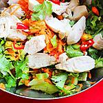 recipe Vietnamese Spicy Chicken Salad